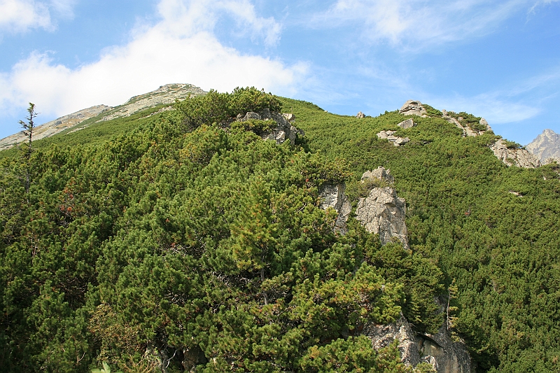 slawkowskiszczyt09.2008 018